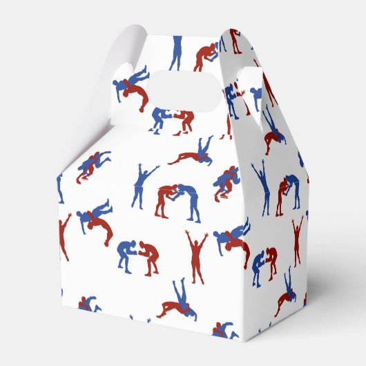 フリースタイルグレコローマレスリングパターン フェイバーボックス (裏面サイド)