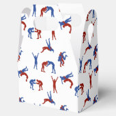 フリースタイルグレコローマレスリングパターン フェイバーボックス (オープン)