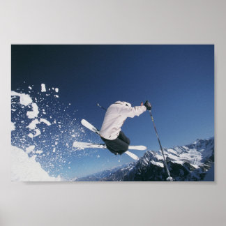 フリースチリン ポスター