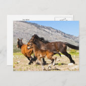 フリースピリッツ ポストカード (正面/裏面)