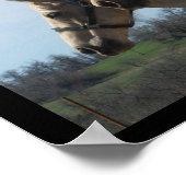 フリースピリット，馬好きのポスター – 大 ポスター (角)