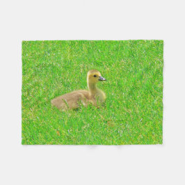 フリースブランケット カナダガチョウ
