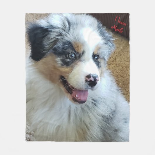 フリースブランケット、中 フリースブランケット (正面)