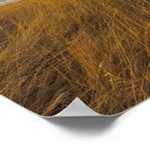 フリーズアウト湖でウィートグラスと劇的な空 ポスター (角)