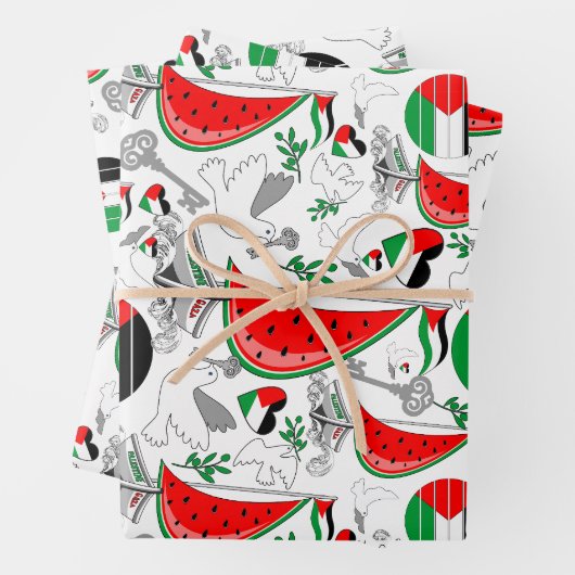 フリーダムグローバルスムード浮力船でガザへ ラッピングペーパーシート (インサイチュ)