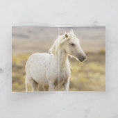 フリーダムコールワイルドホースグリーティングカード カード (内部)