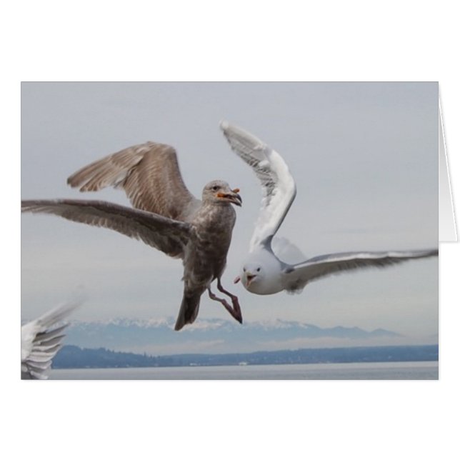 フリーダムフライ2 (正面横)