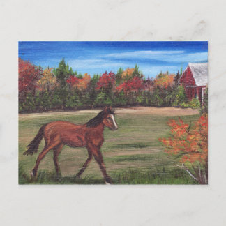 フリーダム走ポストカード ポストカード