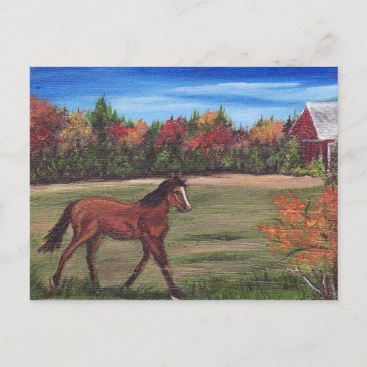 フリーダム走ポストカード ポストカード (正面)