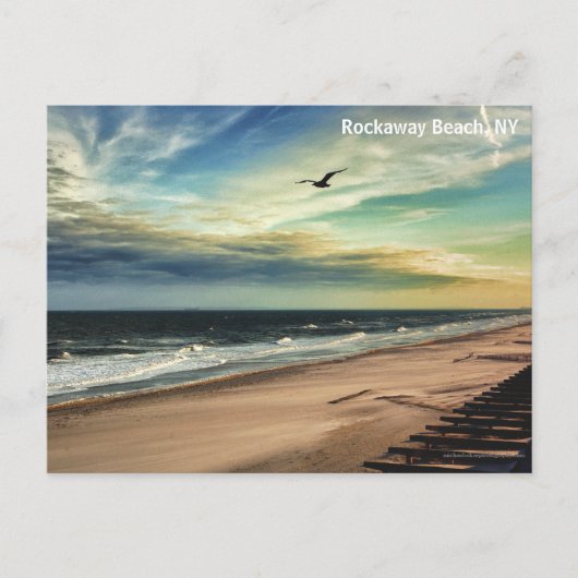 フリーダム鳥はがき ポストカード (正面)