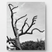 フリーツリー フォトプラーク (正面)