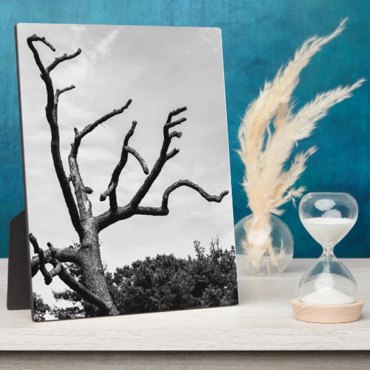 フリーツリー フォトプラーク (側面)