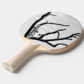 フリーツリー 卓球ラケット (正面アングル)
