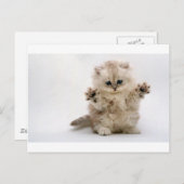 フリーハグキットン ポストカード (正面/裏面)