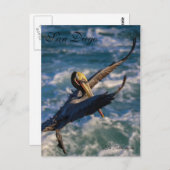 フリーバード ポストカード (正面/裏面)