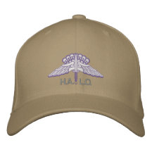 フリーホール(HALO)