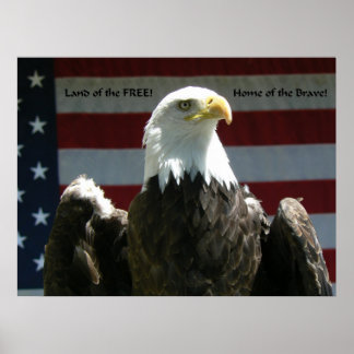 フリーポスターの土地 ポスター