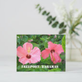 フリーポート、バハマはがき ポストカード (スタンド正面)