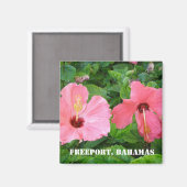 フリーポート、バハマ磁石 マグネット (正面/裏面)