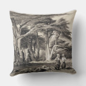 フリーマン(セピア色著刻まれるレバノンのヒマラヤスギ クッション (裏面)