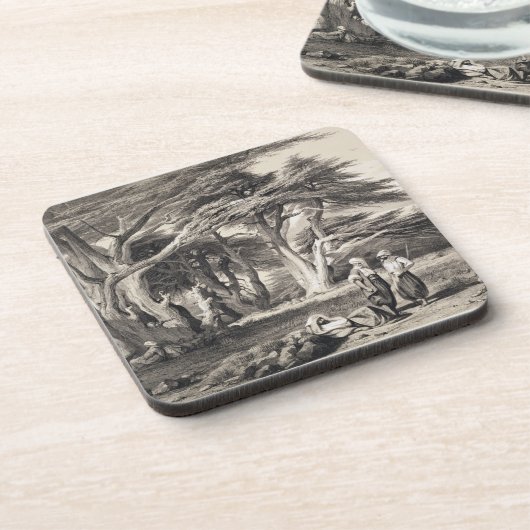 フリーマン(セピア色著刻まれるレバノンのヒマラヤスギ コースター (左側)