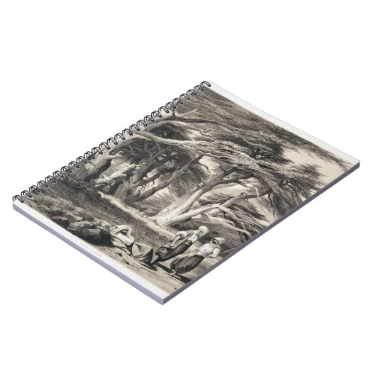 フリーマン(セピア色著刻まれるレバノンのヒマラヤスギ ノートブック (左側)