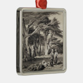 フリーマン(セピア色著刻まれるレバノンのヒマラヤスギ メタルオーナメント (右)