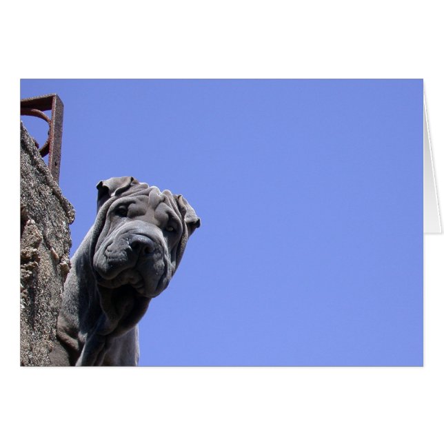 フリーマーケット (正面横)