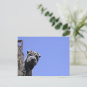 フリーマーケット ポストカード (スタンド正面)