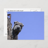 フリーマーケット ポストカード (正面/裏面)