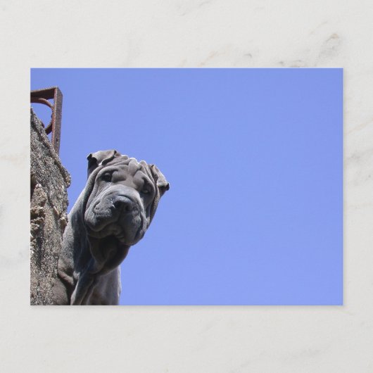 フリーマーケット ポストカード (正面)