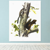 フリーモントのリスと安っぽいリス、オードボン キャンバスプリント (インサイチュ (ウッドフロア))