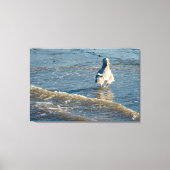 フリーランド反乱湾#2 キャンバスプリント (正面)