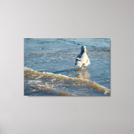 フリーランド反乱湾#2 キャンバスプリント