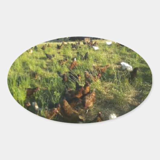 フリーレンジHenスタンプ 楕円形シール (正面)