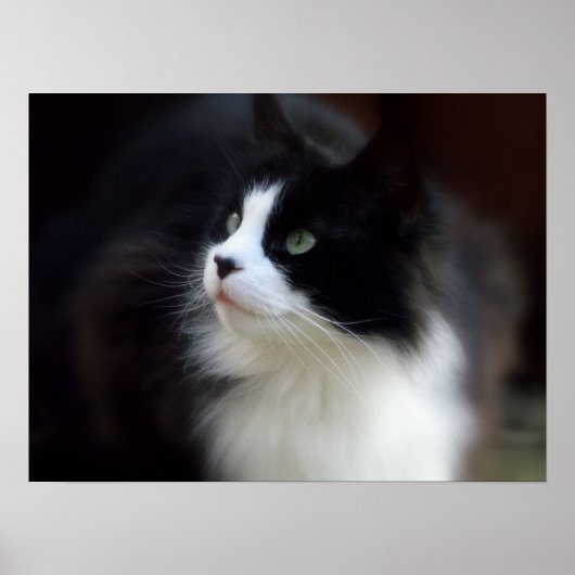 フリ恋しく思ッフ ポスター (正面)