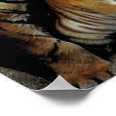 フリ感じスキー？ ポスター (角)