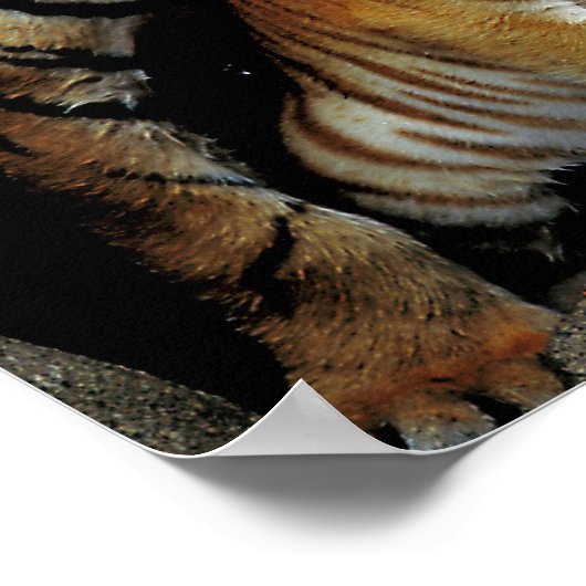 フリ感じスキー？ ポスター (角)