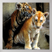 フリ感じスキー？ ポスター (正面)