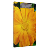 フルかわいらし開花夏の黄色のデイジー花。 クリップボード (右)