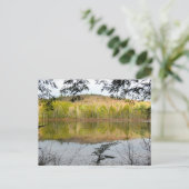 フルアム池の反射 ポストカード (スタンド正面)