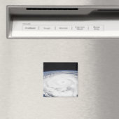 フルカネイゴール マグネット (インサイチュ (食洗機))