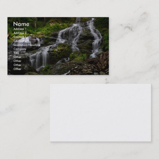 フルカラーの名刺 名刺 (正面/裏面)