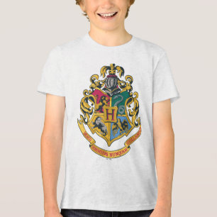 フルカラーハリー・ポッターシリーズ Hogwartsの頂上- トライブレンドTシャツ
