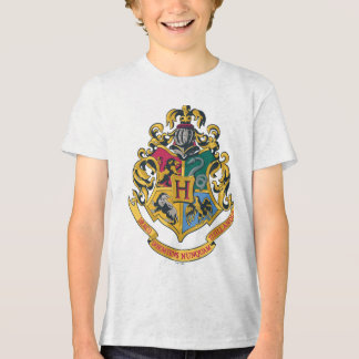 フルカラーハリー・ポッターシリーズ| Hogwartsの頂上- トライブレンドTシャツ