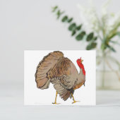 フルカラー感謝祭トルコ シーズンポストカード (スタンド正面)