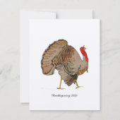 フルカラー感謝祭トルコ 招待状 (裏面)