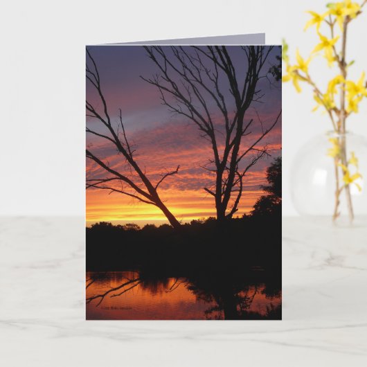 フルカラー カード (黄色い花)