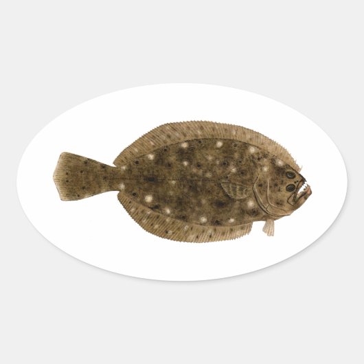 フルケ – Summer Flounder 楕円形シール (正面)