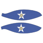 フルサイズバスケットボールとヒューストン国旗 バスケットボール (パネル)